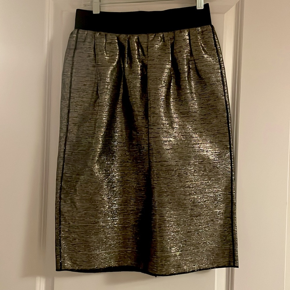 NWT Dolce & Gabbana Metallic Skirt Size 0